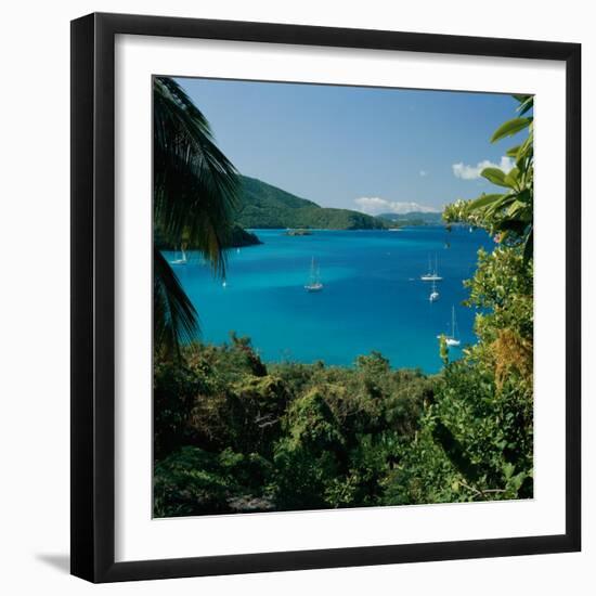 Virgin Islands National Park St. Johns Us Virgin Islands-null-Framed Photographic Print