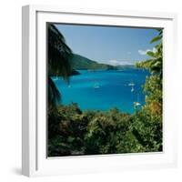 Virgin Islands National Park St. Johns Us Virgin Islands-null-Framed Photographic Print