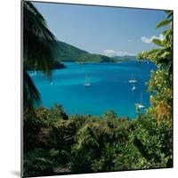 Virgin Islands National Park St. Johns Us Virgin Islands-null-Mounted Photographic Print