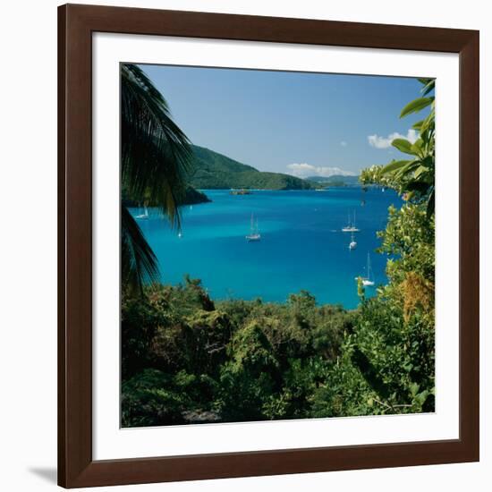 Virgin Islands National Park St. Johns Us Virgin Islands-null-Framed Photographic Print