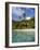 Virgin Islands, St. John, Palm Tree on the Gibney's Beach-null-Framed Photographic Print