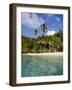 Virgin Islands, St. John, Palm Tree on the Gibney's Beach-null-Framed Photographic Print