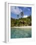 Virgin Islands, St. John, Palm Tree on the Gibney's Beach-null-Framed Photographic Print