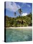 Virgin Islands, St. John, Palm Tree on the Gibney's Beach-null-Stretched Canvas