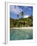 Virgin Islands, St. John, Palm Tree on the Gibney's Beach-null-Framed Photographic Print