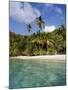 Virgin Islands, St. John, Palm Tree on the Gibney's Beach-null-Mounted Photographic Print