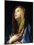 Virgin Mary-Carlo Cignani-Mounted Art Print