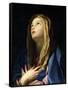 Virgin Mary-Carlo Cignani-Framed Stretched Canvas