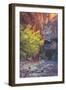 Virgin Narrows Nook, Zion-Vincent James-Framed Photographic Print