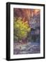 Virgin Narrows Nook, Zion-Vincent James-Framed Photographic Print