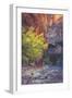 Virgin Narrows Nook, Zion-Vincent James-Framed Photographic Print