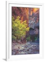 Virgin Narrows Nook, Zion-Vincent James-Framed Photographic Print