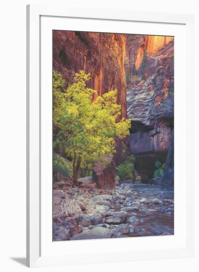 Virgin Narrows Nook, Zion-Vincent James-Framed Photographic Print