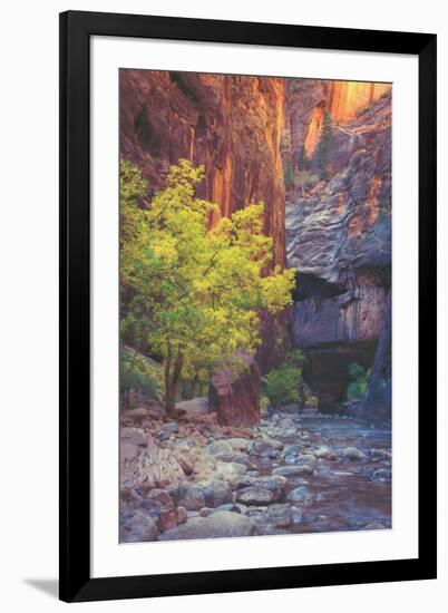 Virgin Narrows Nook, Zion-Vincent James-Framed Photographic Print