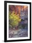 Virgin Narrows Nook, Zion-Vincent James-Framed Photographic Print