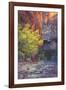 Virgin Narrows Nook, Zion-Vincent James-Framed Photographic Print