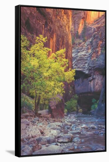 Virgin Narrows Nook, Zion-Vincent James-Framed Stretched Canvas