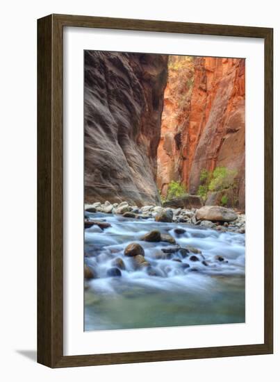 Virgin Narrows Portrait in Autumn-Vincent James-Framed Photographic Print