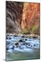 Virgin Narrows Portrait in Autumn-Vincent James-Mounted Photographic Print