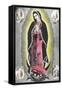 Virgin of Guadalupe, Scenes of Juan Diego-null-Framed Stretched Canvas