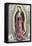 Virgin of Guadalupe, Scenes of Juan Diego-null-Framed Stretched Canvas