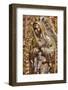 Virgin of Guadalupe Statue, largest in the World, solid silver, Church of Santa Prisca de Taxco-Richard Maschmeyer-Framed Photographic Print