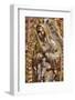 Virgin of Guadalupe Statue, largest in the World, solid silver, Church of Santa Prisca de Taxco-Richard Maschmeyer-Framed Photographic Print