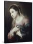 Virgin of the Annunciation-Bartolome Esteban Murillo-Stretched Canvas