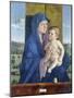 Virgin of the Pear-Giovanni Bellini-Mounted Giclee Print