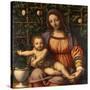 Virgin of the Rose Bush-Bernardino Luini-Stretched Canvas