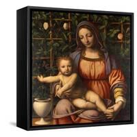 Virgin of the Rose Bush-Bernardino Luini-Framed Stretched Canvas