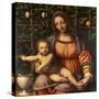 Virgin of the Rose Bush-Bernardino Luini-Stretched Canvas