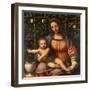 Virgin of the Rose Bush-Bernardino Luini-Framed Giclee Print