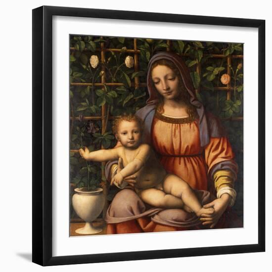 Virgin of the Rose Bush-Bernardino Luini-Framed Giclee Print