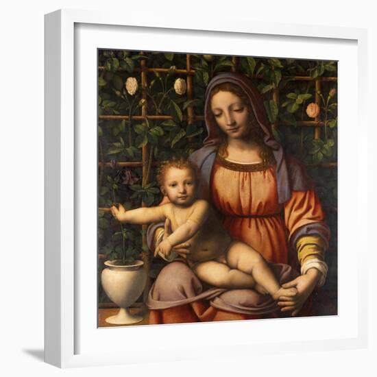 Virgin of the Rose Bush-Bernardino Luini-Framed Giclee Print