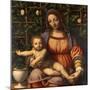 Virgin of the Rose Bush-Bernardino Luini-Mounted Giclee Print