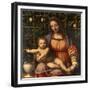 Virgin of the Rose Bush-Bernardino Luini-Framed Giclee Print