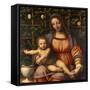 Virgin of the Rose Bush-Bernardino Luini-Framed Stretched Canvas