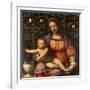 Virgin of the Rose Bush-Bernardino Luini-Framed Giclee Print