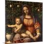 Virgin of the Rose Bush-Bernardino Luini-Mounted Giclee Print