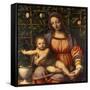 Virgin of the Rose Bush-Bernardino Luini-Framed Stretched Canvas