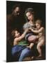 Virgin of the Rose, Madonna and Child with Joseph and John the Baptist, 1518-Raphael-Mounted Giclee Print