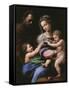 Virgin of the Rose, Madonna and Child with Joseph and John the Baptist, 1518-Raphael-Framed Stretched Canvas