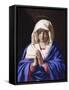 Virgin Praying with Eyes Lowered-Giovan Battista Salvi-Framed Stretched Canvas