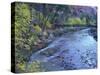 Virgin River and Couple on the Footbridge, Zion National Park, Utah, USA-null-Stretched Canvas