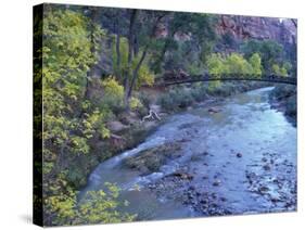 Virgin River and Couple on the Footbridge, Zion National Park, Utah, USA-null-Stretched Canvas