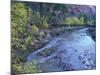 Virgin River and Couple on the Footbridge, Zion National Park, Utah, USA-null-Mounted Photographic Print