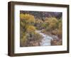 Virgin River and Fremont Cottonwoods, Zion National Park, Utah, USA-Jamie & Judy Wild-Framed Photographic Print