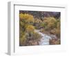 Virgin River and Fremont Cottonwoods, Zion National Park, Utah, USA-Jamie & Judy Wild-Framed Photographic Print