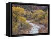 Virgin River and Fremont Cottonwoods, Zion National Park, Utah, USA-Jamie & Judy Wild-Framed Stretched Canvas